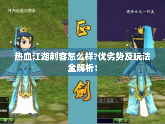 热血江湖刺客怎么样?优劣势及玩法全解析! 热血江湖刺客怎么样?优劣势及玩法全解析!