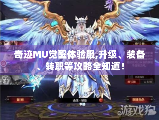 奇迹MU觉醒体验服,升级、装备、转职等攻略全知道! 奇迹MU觉醒体验服,升级、装备、转职等攻略全知道!
