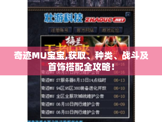 奇迹MU宝宝,获取、种类、战斗及首饰搭配全攻略! 奇迹MU宝宝,获取、种类、战斗及首饰搭配全攻略!