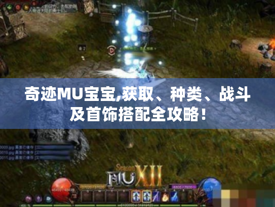 奇迹MU宝宝,获取、种类、战斗及首饰搭配全攻略! 奇迹MU宝宝,获取、种类、战斗及首饰搭配全攻略!