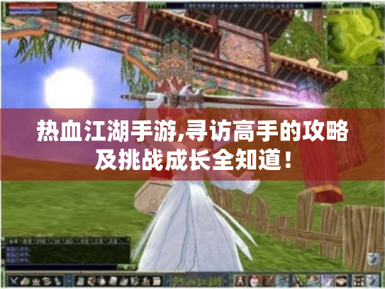 热血江湖手游,寻访高手的攻略及挑战成长全知道！