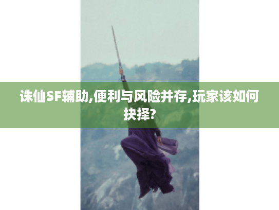 诛仙SF辅助,便利与风险并存,玩家该如何抉择? 诛仙SF辅助,便利与风险并存,玩家该如何抉择?