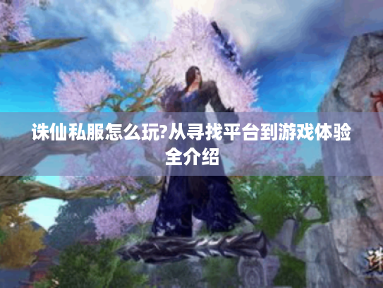 诛仙私服怎么玩?从寻找平台到游戏体验全介绍