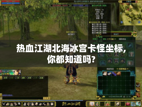 热血江湖北海冰宫卡怪坐标,你都知道吗?