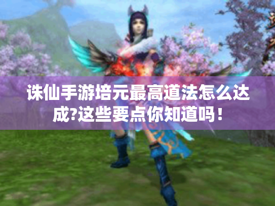 诛仙手游培元最高道法怎么达成?这些要点你知道吗! 诛仙手游培元最高道法怎么达成?这些要点你知道吗!