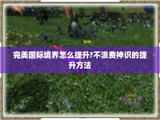 完美国际境界怎么提升?不浪费神识的提升方法