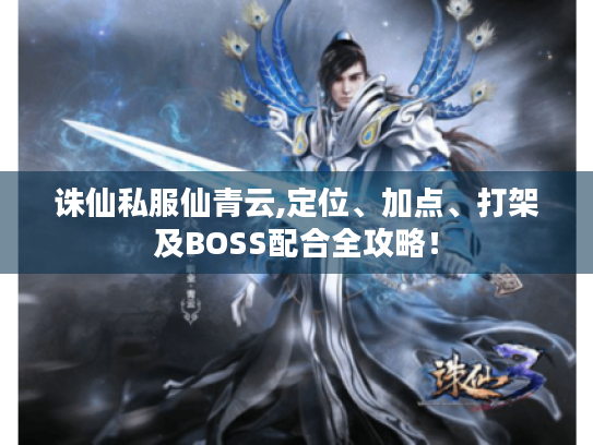 诛仙私服仙青云,定位、加点、打架及BOSS配合全攻略！