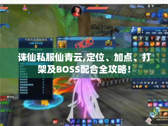 诛仙私服仙青云,定位、加点、打架及BOSS配合全攻略！