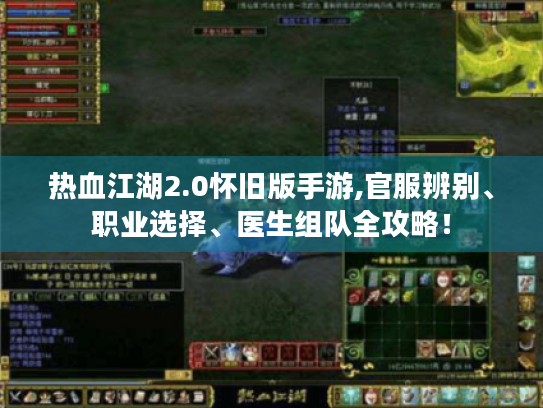 热血江湖2.0怀旧版手游,官服辨别、职业选择、医生组队全攻略! 热血江湖2.0怀旧版手游,官服辨别、职业选择、医生组队全攻略!