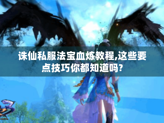 诛仙私服法宝血炼教程,这些要点技巧你都知道吗? 诛仙私服法宝血炼教程,这些要点技巧你都知道吗?