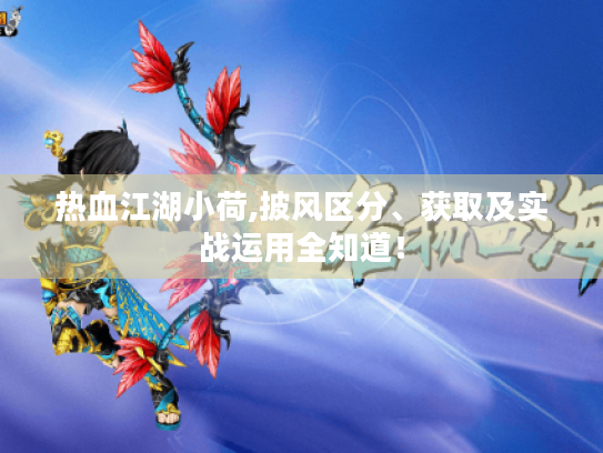 热血江湖小荷,披风区分、获取及实战运用全知道! 热血江湖小荷,披风区分、获取及实战运用全知道!