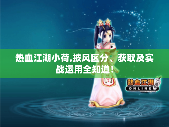 热血江湖小荷,披风区分、获取及实战运用全知道! 热血江湖小荷,披风区分、获取及实战运用全知道!