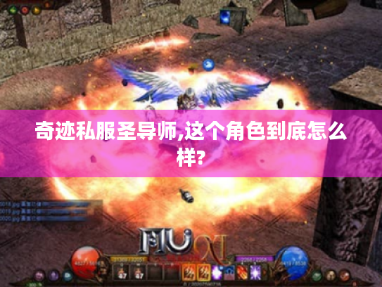 奇迹私服圣导师,这个角色到底怎么样?