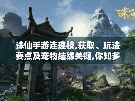 诛仙手游连理枝,获取、玩法要点及宠物结缘关键,你知多少? 诛仙手游连理枝,获取、玩法要点及宠物结缘关键,你知多少?