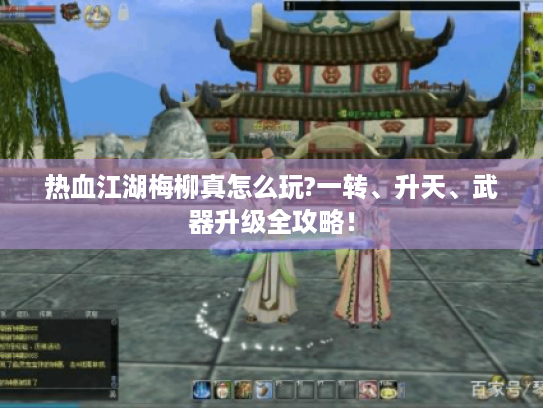 热血江湖梅柳真怎么玩?一转、升天、武器升级全攻略! 热血江湖梅柳真怎么玩?一转、升天、武器升级全攻略!