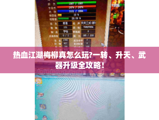 热血江湖梅柳真怎么玩?一转、升天、武器升级全攻略! 热血江湖梅柳真怎么玩?一转、升天、武器升级全攻略!