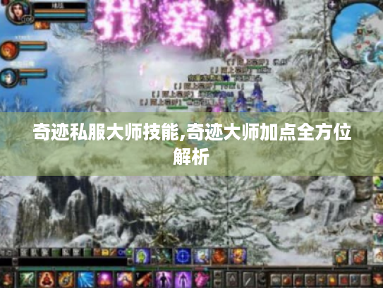奇迹私服大师技能,奇迹大师加点全方位解析 奇迹私服大师技能,奇迹大师加点全方位解析