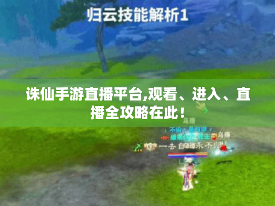 诛仙手游直播平台,观看、进入、直播全攻略在此! 诛仙手游直播平台,观看、进入、直播全攻略在此!