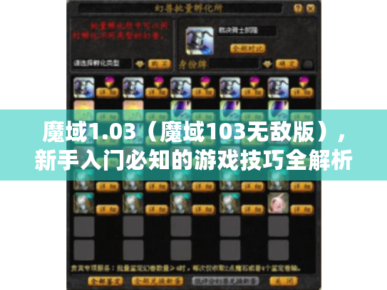 魔域1.03(魔域103无敌版),新手入门必知的游戏技巧全解析 魔域1.03(魔域103无敌版),新手入门必知的游戏技巧全解析