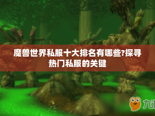 魔兽世界私服十大排名有哪些?探寻热门私服的关键