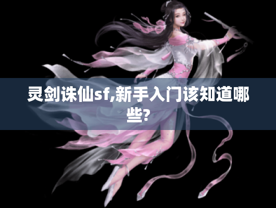 灵剑诛仙sf,新手入门该知道哪些?