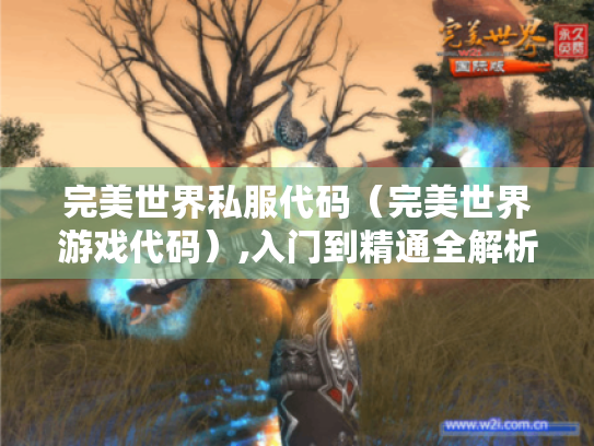 完美世界私服代码（完美世界游戏代码）,入门到精通全解析
