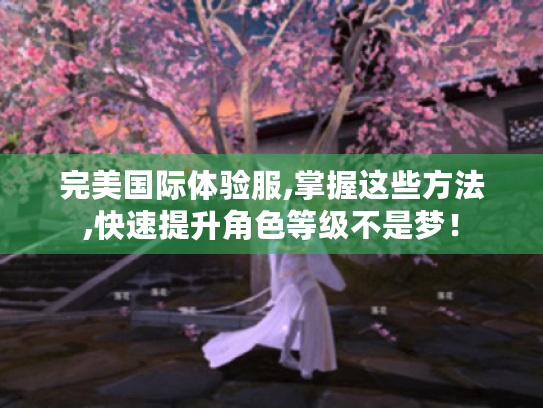 完美国际体验服,掌握这些方法,快速提升角色等级不是梦! 完美国际体验服,掌握这些方法,快速提升角色等级不是梦!