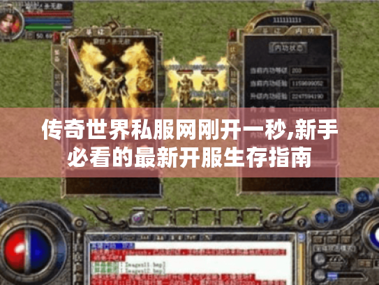 传奇世界私服网刚开一秒,新手必看的最新开服生存指南 传奇世界私服网刚开一秒,新手必看的最新开服生存指南