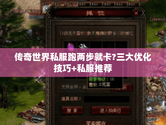 传奇世界私服跑两步就卡?三大优化技巧+私服推荐