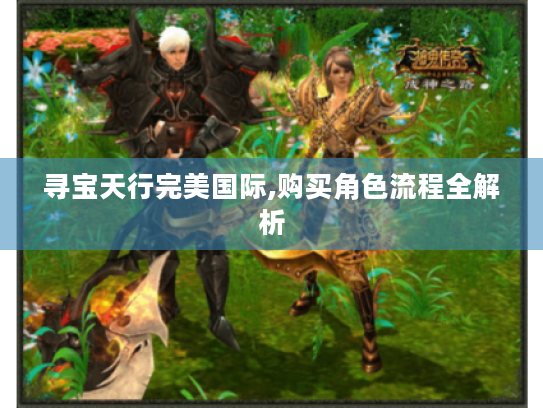 寻宝天行完美国际,购买角色流程全解析 寻宝天行完美国际,购买角色流程全解析