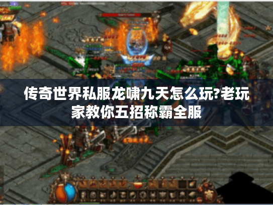 传奇世界私服龙啸九天怎么玩?老玩家教你五招称霸全服 传奇世界私服龙啸九天怎么玩?老玩家教你五招称霸全服