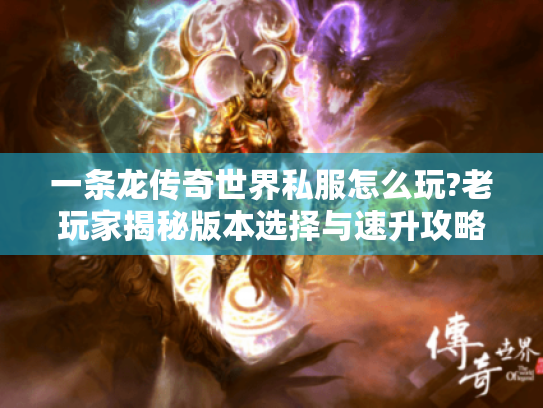 一条龙传奇世界私服怎么玩?老玩家揭秘版本选择与速升攻略