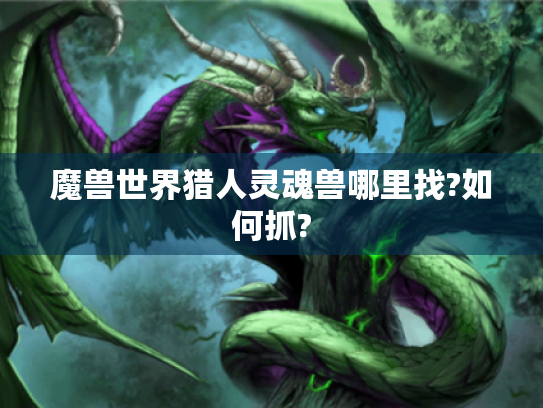 魔兽世界猎人灵魂兽哪里找?如何抓? 魔兽世界猎人灵魂兽哪里找?如何抓?