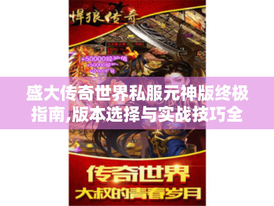 盛大传奇世界私服元神版终极指南,版本选择与实战技巧全解析