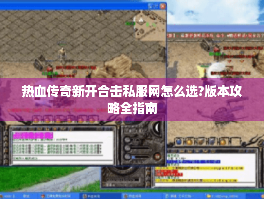 热血传奇新开合击私服网怎么选?版本攻略全指南 热血传奇新开合击私服网怎么选?版本攻略全指南