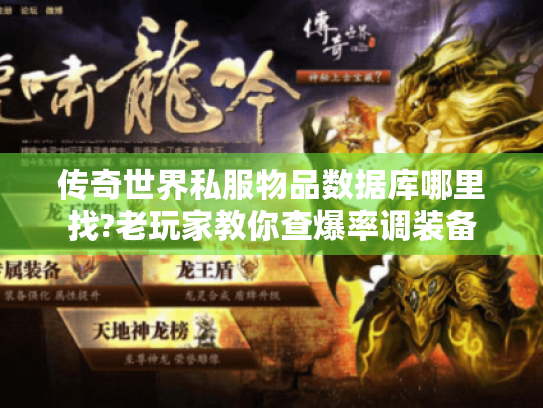 传奇世界私服物品数据库哪里找?老玩家教你查爆率调装备 传奇世界私服物品数据库哪里找?老玩家教你查爆率调装备