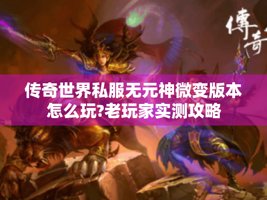 传奇世界私服无元神微变版本怎么玩?老玩家实测攻略 传奇世界私服无元神微变版本怎么玩?老玩家实测攻略