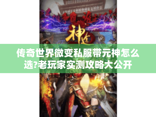 传奇世界微变私服带元神怎么选?老玩家实测攻略大公开 传奇世界微变私服带元神怎么选?老玩家实测攻略大公开