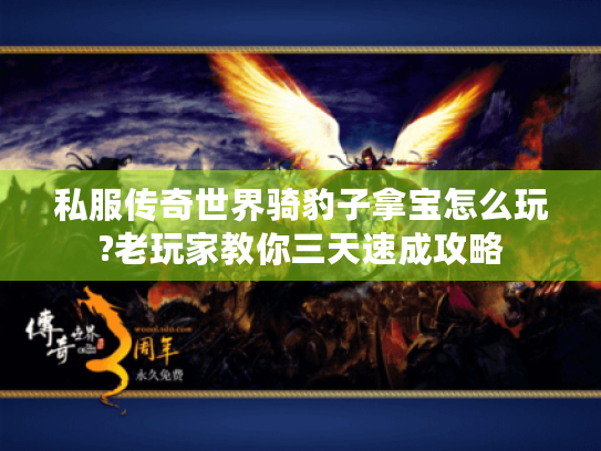 私服传奇世界骑豹子拿宝怎么玩?老玩家教你三天速成攻略