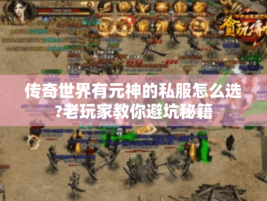 传奇世界有元神的私服怎么选?老玩家教你避坑秘籍 传奇世界有元神的私服怎么选?老玩家教你避坑秘籍