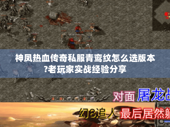 神凤热血传奇私服青鸾纹怎么选版本?老玩家实战经验分享 神凤热血传奇私服青鸾纹怎么选版本?老玩家实战经验分享