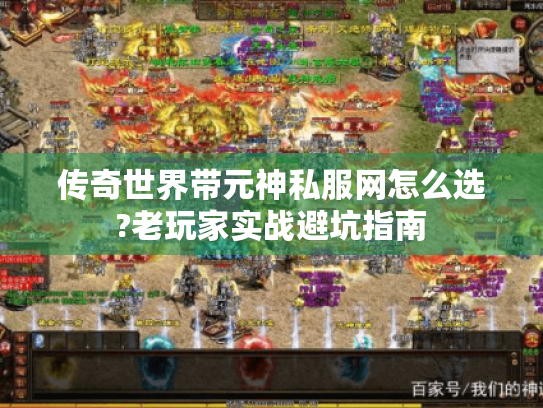 传奇世界带元神私服网怎么选?老玩家实战避坑指南