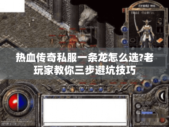 热血传奇私服一条龙怎么选?老玩家教你三步避坑技巧 热血传奇私服一条龙怎么选?老玩家教你三步避坑技巧