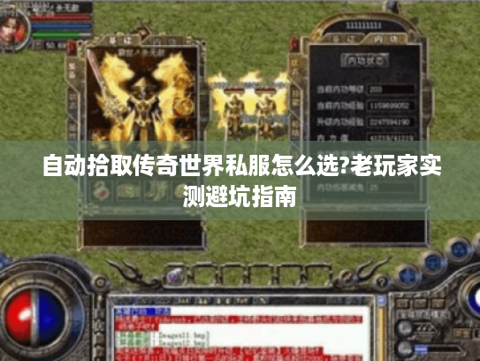 自动拾取传奇世界私服怎么选?老玩家实测避坑指南 自动拾取传奇世界私服怎么选?老玩家实测避坑指南