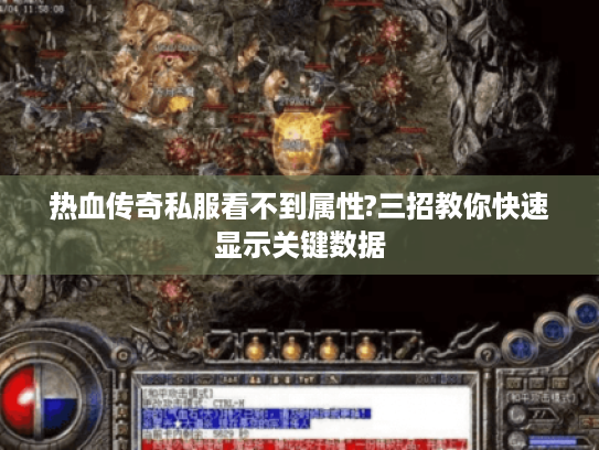 热血传奇私服看不到属性?三招教你快速显示关键数据