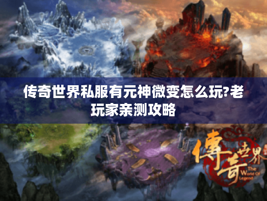 传奇世界私服有元神微变怎么玩?老玩家亲测攻略 传奇世界私服有元神微变怎么玩?老玩家亲测攻略