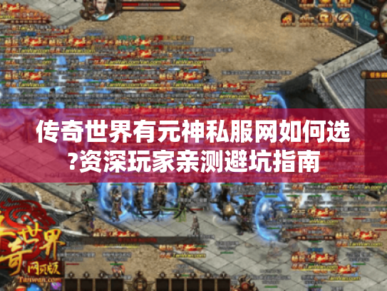 传奇世界有元神私服网如何选?资深玩家亲测避坑指南 传奇世界有元神私服网如何选?资深玩家亲测避坑指南