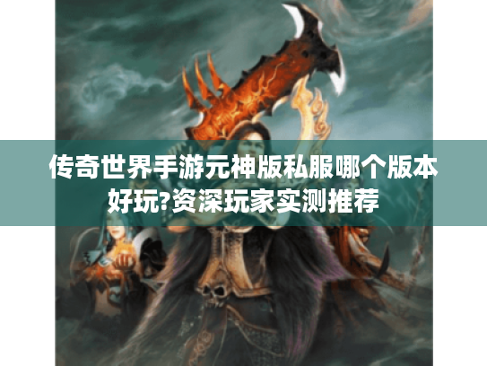 传奇世界手游元神版私服哪个版本好玩?资深玩家实测推荐