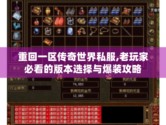 重回一区传奇世界私服,老玩家必看的版本选择与爆装攻略