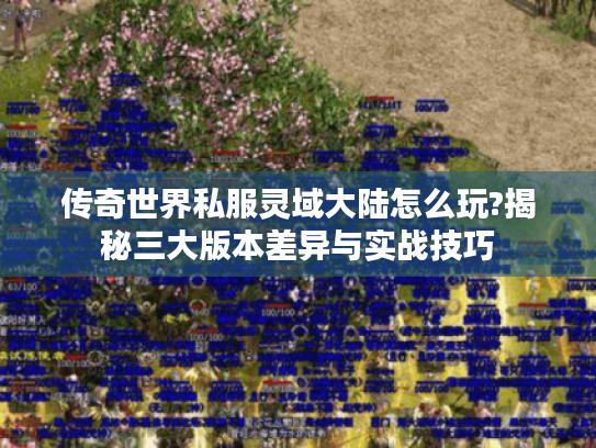 传奇世界私服灵域大陆怎么玩?揭秘三大版本差异与实战技巧 传奇世界私服灵域大陆怎么玩?揭秘三大版本差异与实战技巧